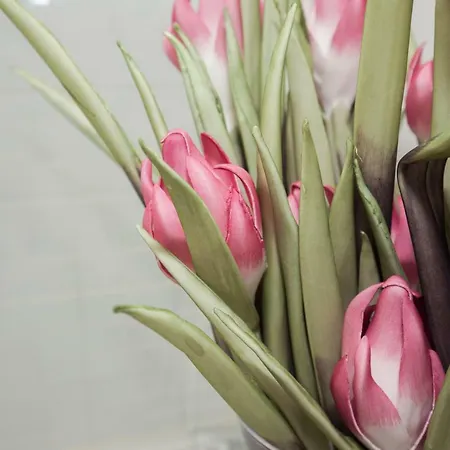 Ml Charming * 포르투