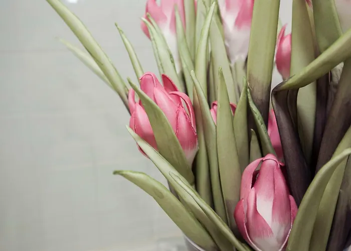 Ml Charming * ポルト